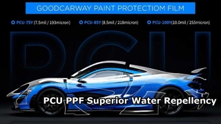 PCUPPF 소수성 테스트